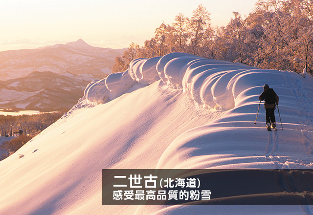 二世古(北海道) 感受最高品質的粉雪