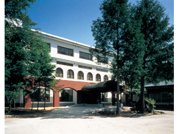 Hotel facade in summer.
