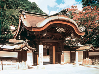 入口