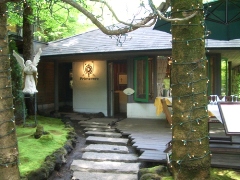 風景・春天