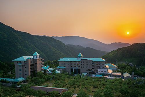 全景 全景