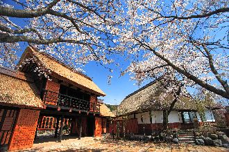 全景 全景
